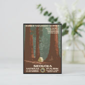 セコイア国立公園 ポストカード (スタンド正面)