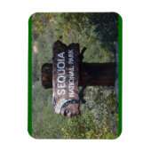 セコイア国立公園 マグネット (縦)