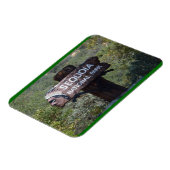 セコイア国立公園 マグネット (左側)