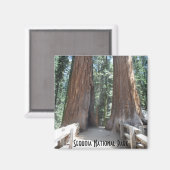 セコイア国立公園 マグネット (正面/裏面)