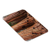 セコイア国立公園 マグネット (右側)