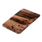 セコイア国立公園 マグネット (左側)