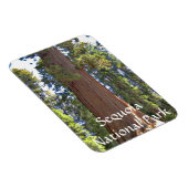 セコイア国立公園 マグネット (右側)