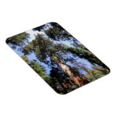 セコイア国立公園 マグネット (右側)