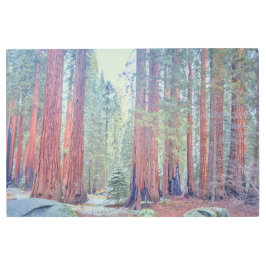 セコイア国立公園 メタルプリント