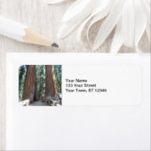 セコイア国立公園 ラベル (インサイチュ)