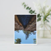 セコイア国立公園：犬の日 ポストカード (スタンド正面)