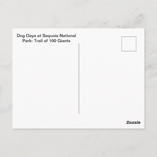 セコイア国立公園：犬の日 ポストカード (裏面)