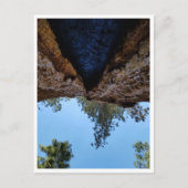 セコイア国立公園：犬の日 ポストカード (正面)