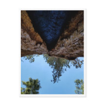 セコイア国立公園:犬の日