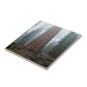 セコイア州ジェネラル・シャーマン・ツリー タイル (側面)