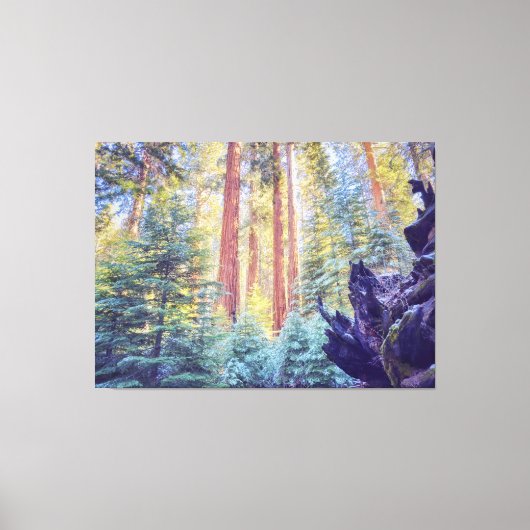 セコイア森林 キャンバスプリント (正面)
