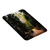 セコイア森林、パークトレイル、セコイア国立公園 マグネット (右側)