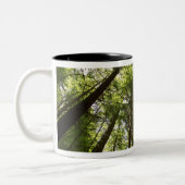 セコイア森林、ロトルア、ニュージーランド2 ツートーンマグカップ (左)