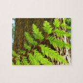 セコイア植物園のハイライト ジグソーパズル (横)