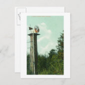 セコイア風ミルユーレカのビュー, CA ポストカード (正面/裏面)