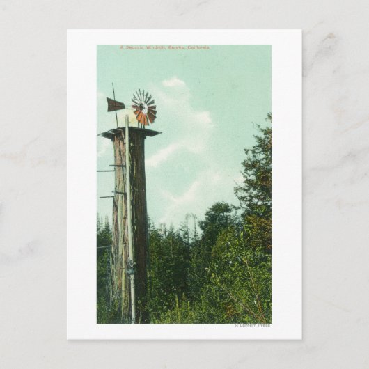 セコイア風ミルユーレカのビュー, CA ポストカード (正面)