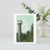 セコイア風ミルユーレカのビュー, CA ポストカード (スタンド正面)