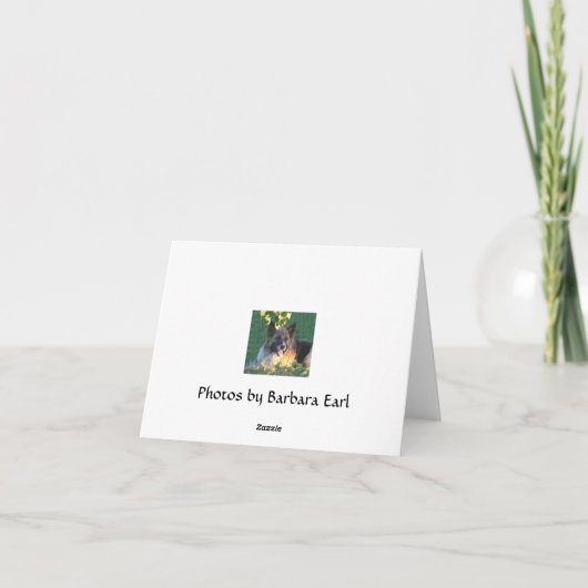 セコイア カード (裏面)