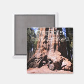 セコイア/キングスキャニオン国立公園マグネット マグネット (正面/裏面)