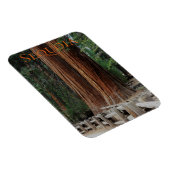 セコイア/キングスキャニオン国立公園マグネット マグネット (右側)