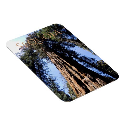 セコイア/キングスキャニオン国立公園マグネット マグネット (右側)