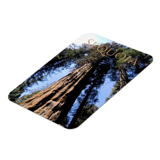 セコイア/キングスキャニオン国立公園マグネット マグネット (左側)