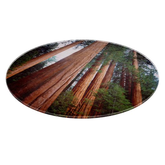セコイア·セコイアの古木 カッティングボード (角)