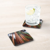 セコイア·セコイアの古木 コースター (右側)