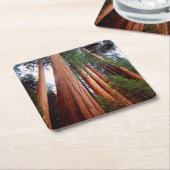 セコイア·セコイアの古木 スクエアペーパーコースター (アングル)