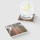 セコイア·セコイアの古木 ストーンコースター (横)