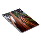 セコイア·セコイアの古木 ノートブック (右側)