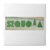 セコイア タイル (正面)