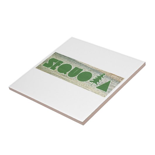 セコイア タイル (側面)