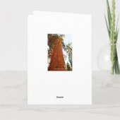 セコイア・ツリーズ・ヨセミテ カード (裏面)