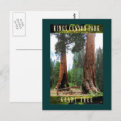 セコイア・ナトル・パーク・カリフォルニア・グラント ポストカード (正面/裏面)