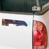 セコイア バンパーステッカー (トラック上)