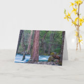 セコイア&マーセドリバーヨセミテ国立公園 カード (黄色い花)