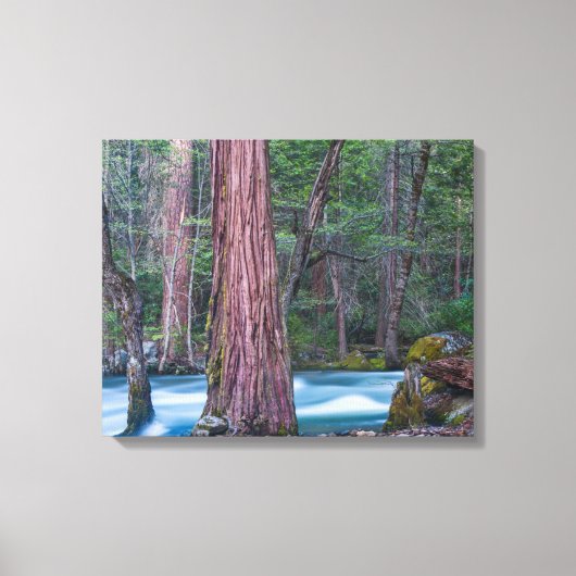 セコイア&マーセドリバーヨセミテ国立公園 キャンバスプリント (正面)
