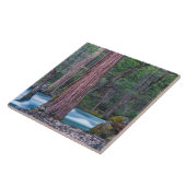 セコイア&マーセドリバーヨセミテ国立公園 タイル (側面)