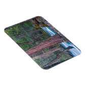 セコイア&マーセドリバーヨセミテ国立公園 マグネット (右側)