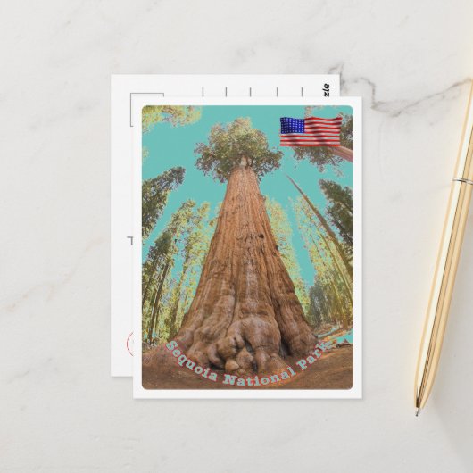 セコイア – 一般シャーマンツリー – 統一された州- ポストカード (正面/裏面インサイチュ)