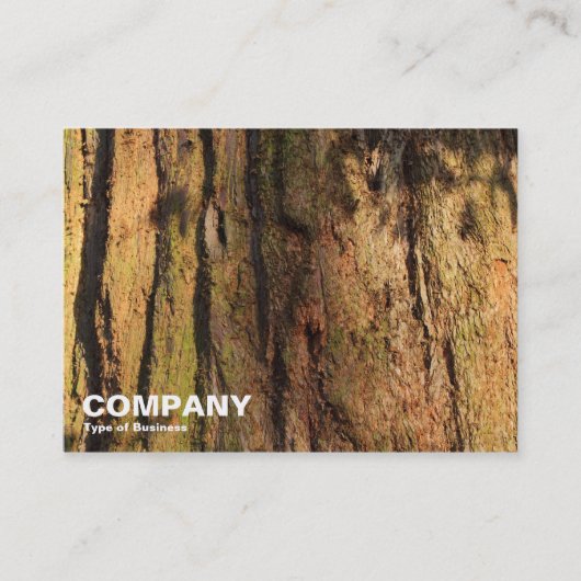 セコイア 名刺 (正面)