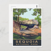 セコイア,国立公園,カリフォルニア州,ヴィンテージ旅行 ポストカード (正面/裏面)
