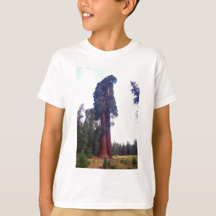 セコイア Tシャツ