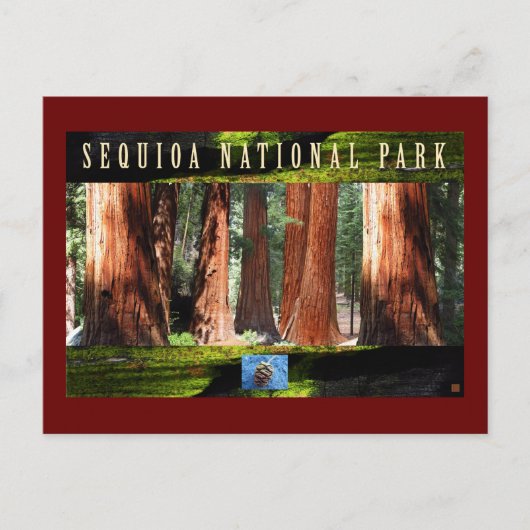 セコイアNAT'L PARK-California – ザ・ジャイアンツ ポストカード (正面)