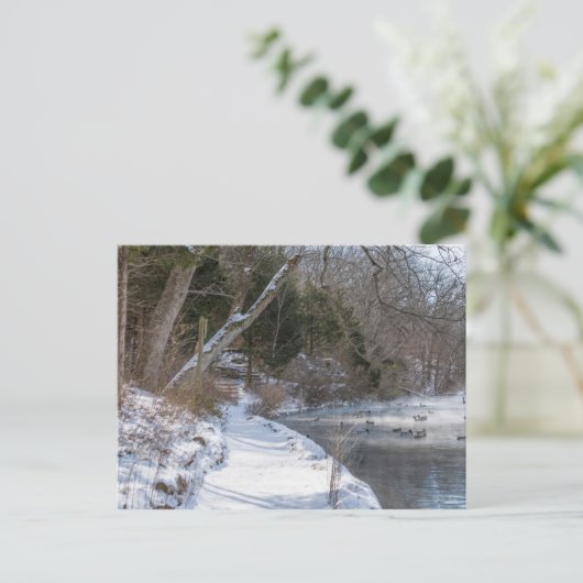 セコイオタウィンターウォーク ポストカード (スタンド正面)