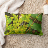 セコイチョウとヤナギ ランバークッション (ブランケット)