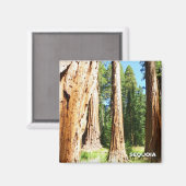 セコクールイア磁石! マグネット (正面/裏面)