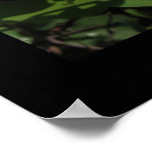 セゴリリープリント ポスター (角)